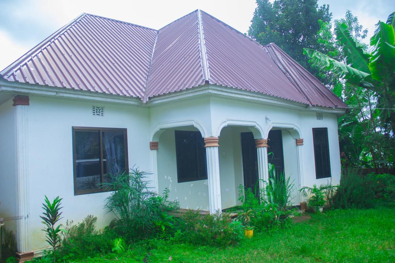 New Dream House Bed & Breakfast Аруша Екстериор снимка
